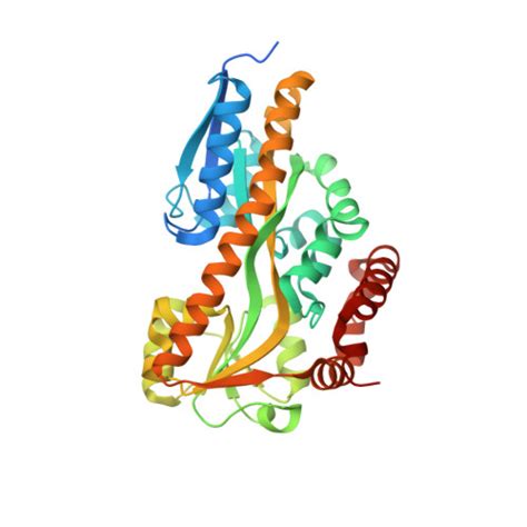 RCSB PDB 4P47 CRYSTAL STRUCTURE OF A TRAP PERIPLASMIC SOLUTE BINDING