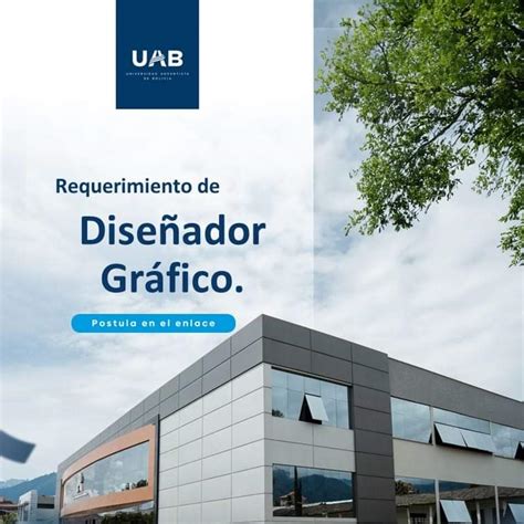 Dise Ador Gr Fico Trabajando Bolivia