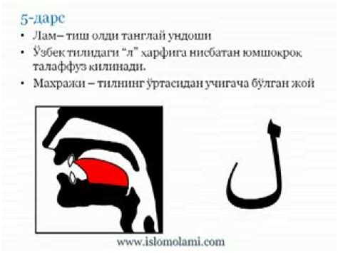 Тажвид дарслари 5 дарс - YouTube