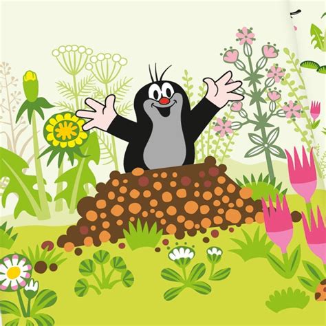 Herding Der kleine Maulwurf 80x80+135x200cm ab 29,79 € | Preisvergleich