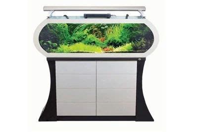 Oval Shape Fish Tank at best price in Pimpri Chinchwad by Jalsrushti Aquatic Pets World | ID ...