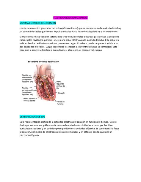 Electrocardiograma B Sico Electrocardiograma Bsico Sistema El Del