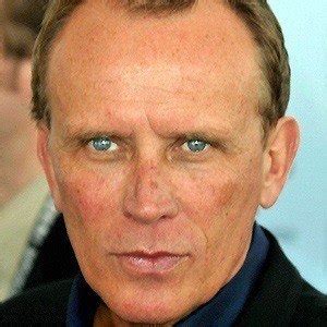 Peter Weller - Bio, Family, Trivia | Famous Birthdays