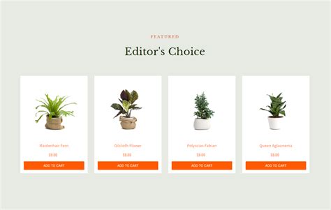 Plantdecorify Houseplants Shopify Template Built By Pagefly EComify