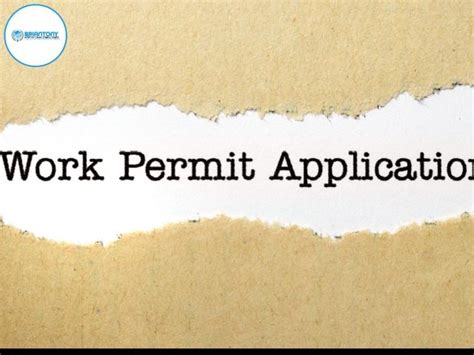 Work Permit Application In Kenya 2024 Step By Step Guide