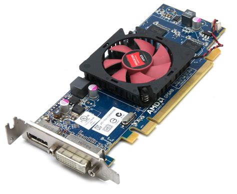 Placa Video Ati Radeon Hd 6450 1gb Ddr364 Bit Expertcompanyro