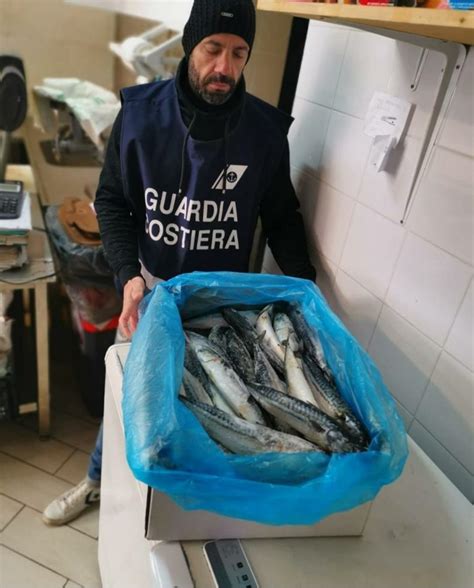 Rimini Maxi Sequestro Di Pesce Non Tracciato E Senza Etichetta