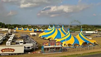 Circus William Auf Usedom Jetzt Steht Neuer Standort In Den