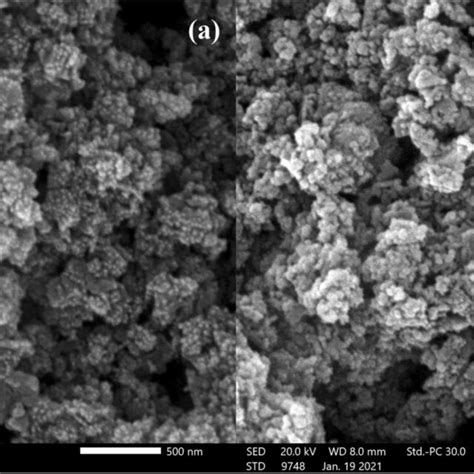 Ft Ir Of The Synthesized Free Zno Nps Top And The Modified Zno Nps