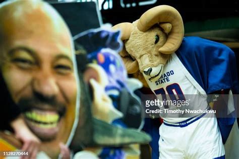 Colorado State Rams Mascot Photos and Premium High Res Pictures - Getty ...