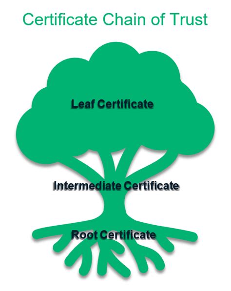 What Is An Ssl Certificate Chain And How Does It Work Infosec Insights