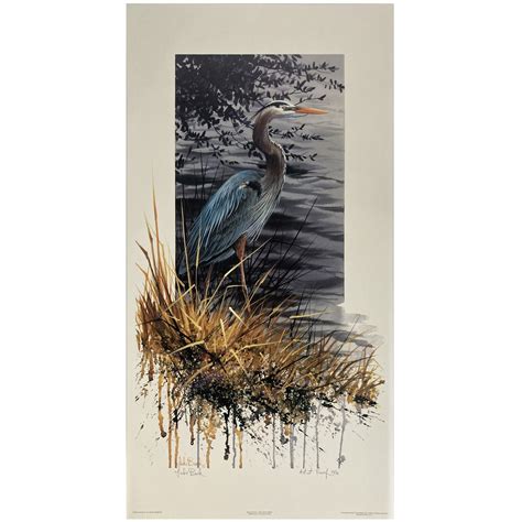 Heron Protected Status Is Being Ignored By Local Construction Crews