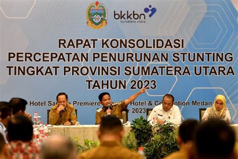 Sumatera Utara Alokasikan Rp346 Miliar Untuk Tangani Stunting Antara