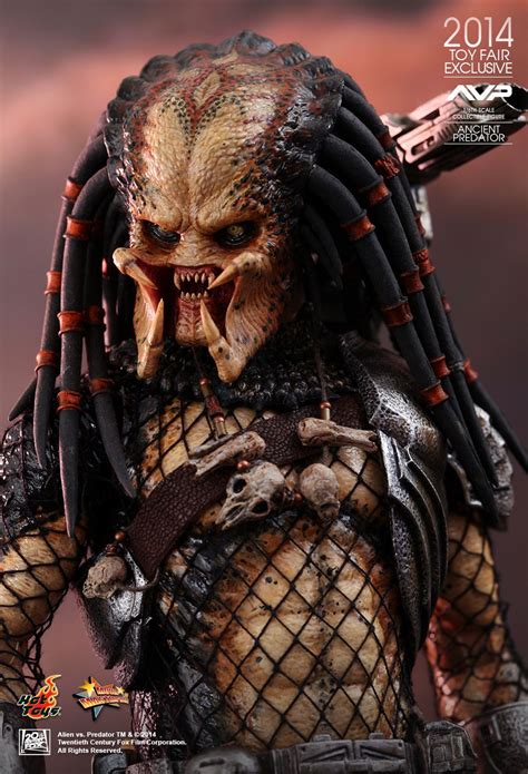 Hot Toys Ancient Predator AVP MMS Scale Figure Complete In Box As Shown Radmanplast
