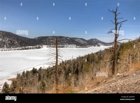 Navajo Lake, Utah Stock Photo - Alamy