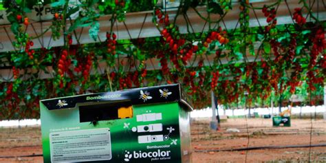 El Biocontrol En Agricultura Jisa Fertilizantes Agr Colas