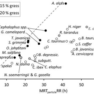 Relationship Of The Mean Retention Time Mrt Between Small And Large