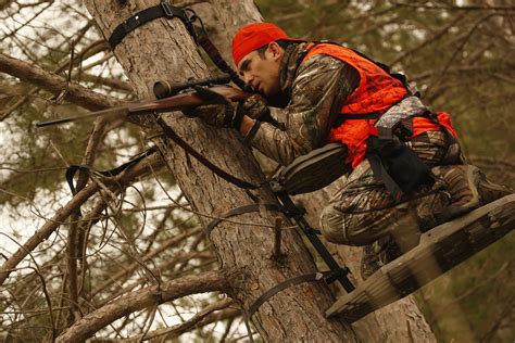 Choosing The Right Tree Stand Blain S Farm And Fleet Blog