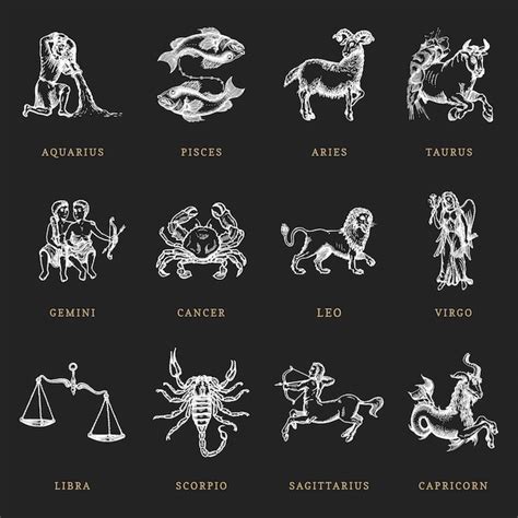 Símbolos del zodiaco establecidos dibujados a mano en estilo de grabado