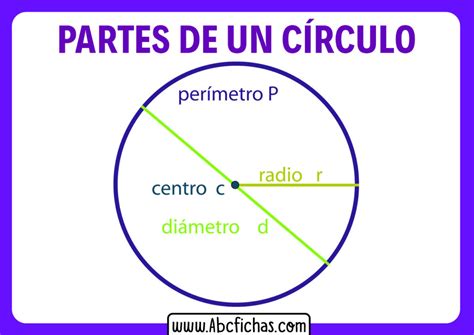 Estructura Y Partes Del C Rculo Y De La Circunferencia