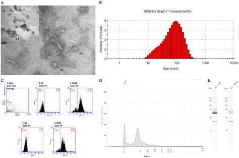 Nano Tracking Analysis | NanoSight ltd | Bioz 