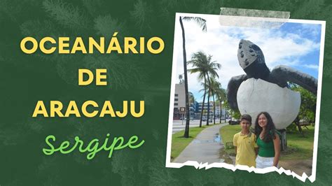 Oceanário de Aracaju conheça o Projeto Tamar em Sergipe YouTube