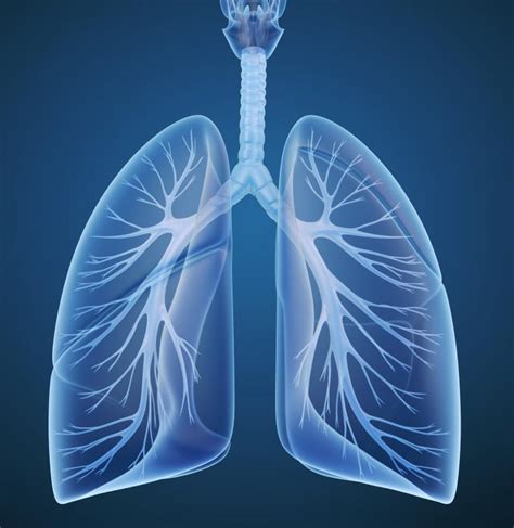 What are the Most Common Causes of Chest and Lung Pain?