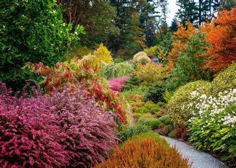 foliage garden
