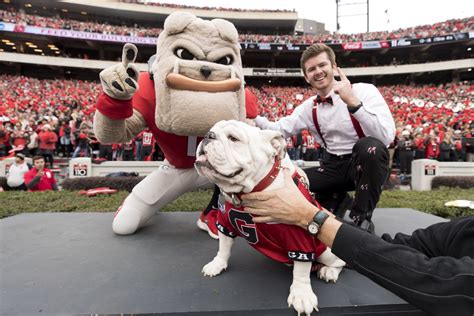 Eight reasons why Uga is the best mascot - UGA Alumni