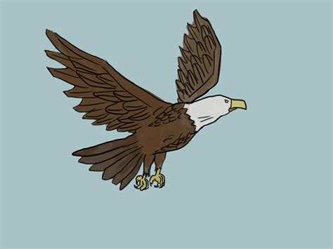 4 Ways To Draw An Eagle Wikihow Eagle Drawing Eagle Painting Drawings