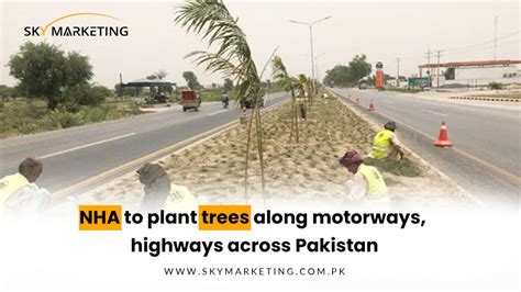 Nha To Plant Trees Along Motorways Highways Across Pakistan Sky