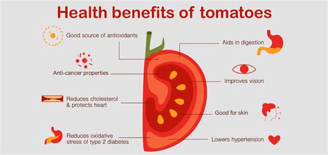 Health benefits of tomatoes | Happiest Health