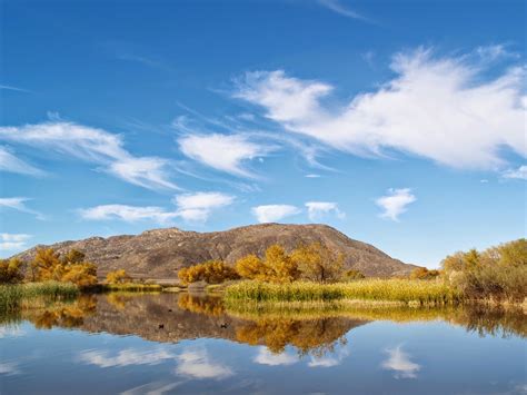 Earth's Internet & Natural Networking: San Jacinto River Wildlife ...