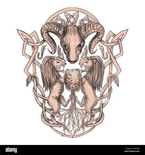 Bighorn Sheep Lion Tree Coat of Arms Celtic Knotwork Tattoo Stock Photo ...