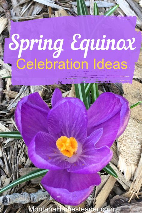 Spring Equinox Celebration Ideas Montana Homesteader