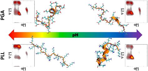 Gas Phase Protonation Thermodynamics Of Biological Lipids Off