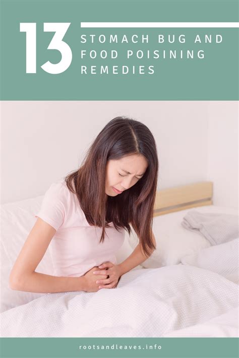 13 Stomach Bug And Food Poisoning Remedies Roots And Leaves Llc