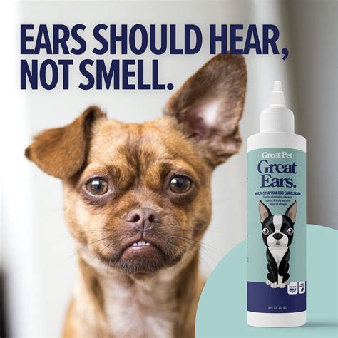 How To Clean Out A Dogs Ears