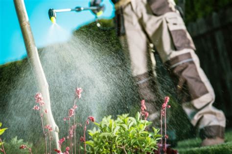 Herbizide Wann Und Wie Ist Der Einsatz Der Unkrautvernichter Sinnvoll