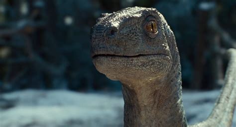 Jurassic World Dominion Estrena Un Impresionante Tráiler