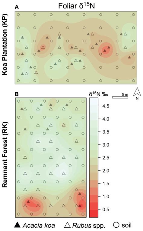 Isoscapes Of Remnant And Restored Hawaiian Montane Forests Reveal