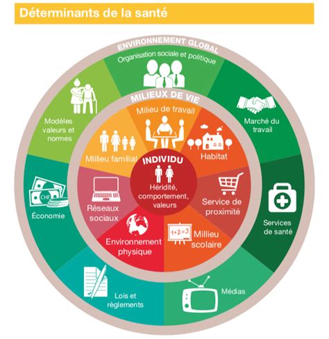 Magnifique Programme De Prévention Et Promotion De Santé Perspective 2030