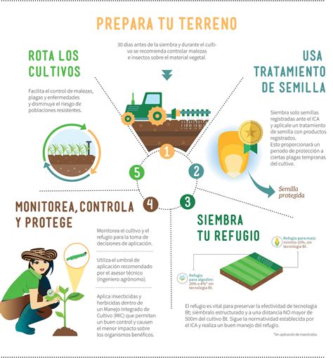 Buenas Prácticas Agrícolas Manejo De Resistencia De Insectos Mri