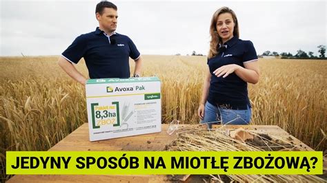 Avoxa Pak Na Polu Jaki Spos B Na Miot Zbo Ow Youtube