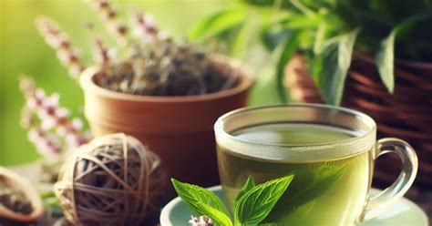 Green Tea Benefits You Must Know