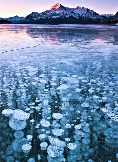 stunning frozen methane bubbles  abraham lake canada