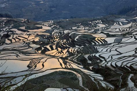 Terrace farming in China : pics