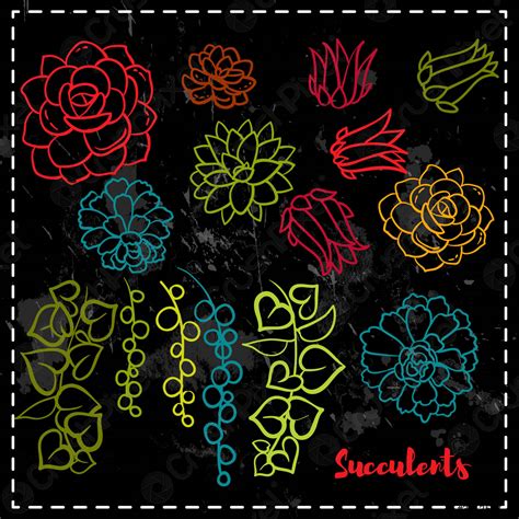 Succulents set In the hand drawn style - stock vector 3412517 | Crushpixel