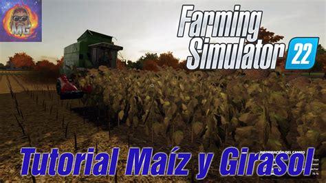 Tutorial Cosecha Ma Z Y Girasol Farming Simulator Youtube