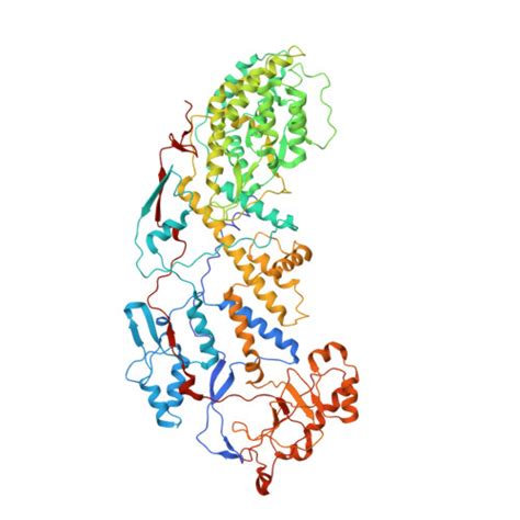 RCSB PDB 4V7Q Atomic Model Of An Infectious Rotavirus Particle